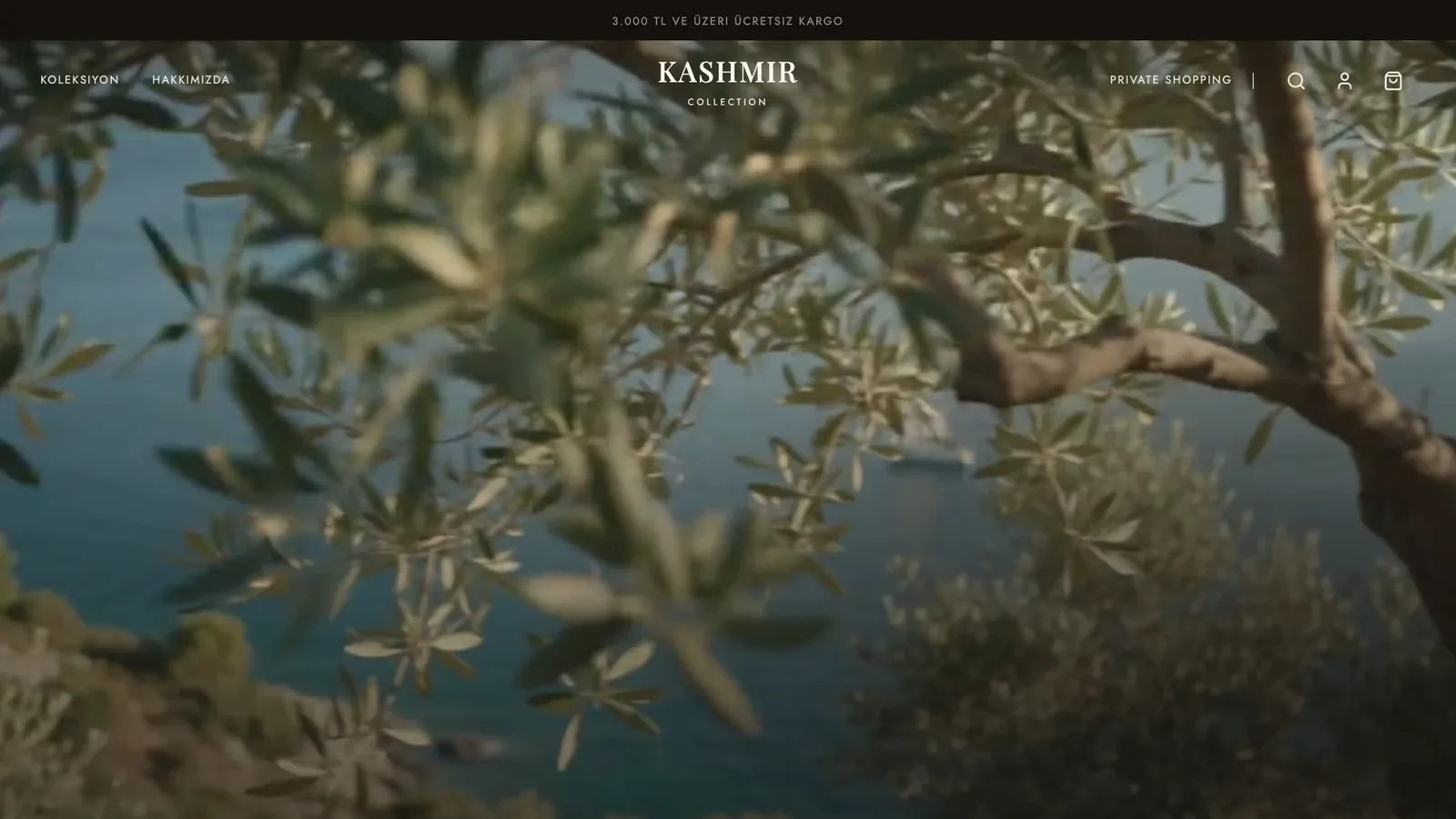 Kashmir Collection e-commerce website screenshot